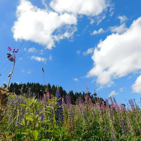 Rathaushotels Inklusive 4* Oberwiesenthal
