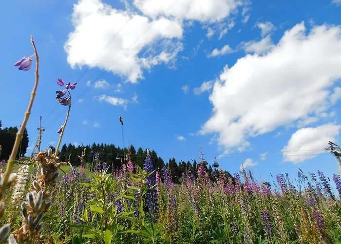 Rathaushotels Inklusive 4* Oberwiesenthal